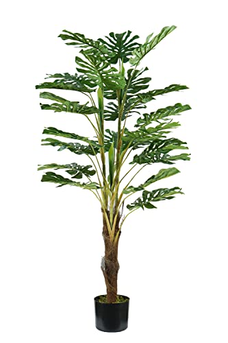 Pflanze Monsterera H. 120 cm 24 Blätter von King Collection
