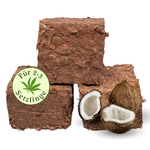 King Crocodile Kokos Cannabis-Anzuchterde 5kg I gepresste Quellerde für 60 Liter Erde I Hanferde nachhaltig & biologisch abbaubar I schimmelresistente Pflanzenerde für Zimmerpflanzen & Gemüse King Crocodile Kokos Cannabis-Anzuchterde 5kg I gepresste Quellerde für 60 Liter Erde I Hanferde nachhaltig & biologisch abbaubar I schimmelresistente Pflanzenerde für Zimmerpflanzen & Gemüse von King Crocodile