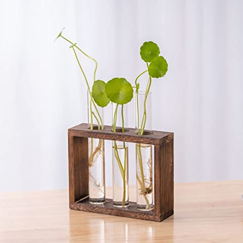 Glas Reagenzglas Kleine Vasen Für Tischdeko Blumenvase Für Blumen Mit Ständer Holz Propagation Station Für Wohnzimmer Dekoration Und Hydroponik Pflanzen, L von Kingbar