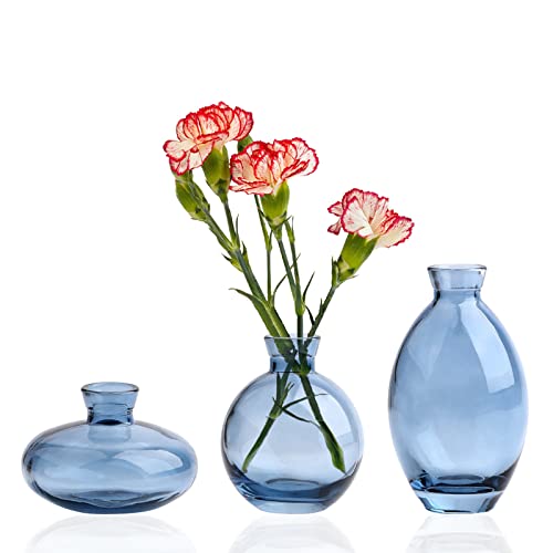 kleine vasen Glas, 3 Teilig Mini vasen Set Hydroponic Glasvase Fuer Blumen, Handgeblasen Modern deko vasen für Hochzeit tischdeko von Kingbar