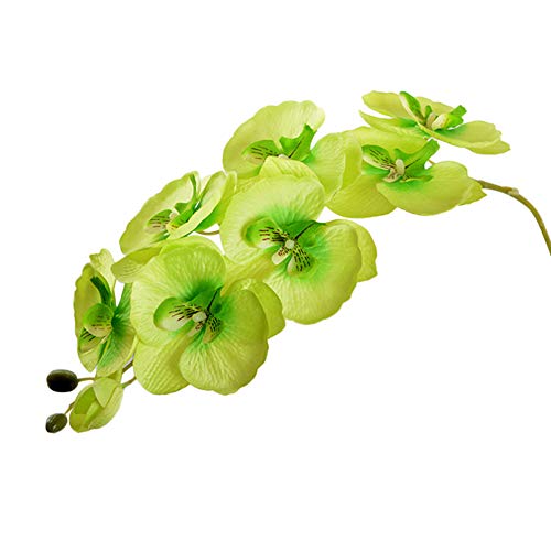 KingbeefLIU 1 Stück Künstliche Blume Schmetterling Orchidee Garten DIY Hochzeit Desktop Decor Perfekte Dekorative Blume Hochzeit Landschaftsbau Wohnzimmer Blumenschmuck Grün von KingbeefLIU