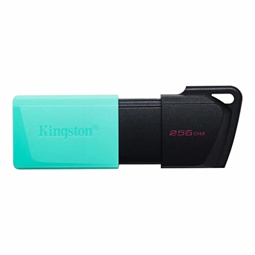 Kingston DataTraveler Exodia M USB Stick 3.2 Gen 1 DTXM/256GB- mit beweglicher Kappe (Schwarz + Türkis) von Kingston
