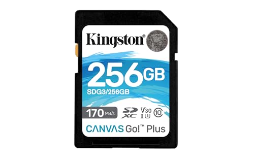 Kingston SDG3/256GB SD Speicherkarte (256GB SDXC Canvas Go Plus 170R C10 UHS-I U3 V30 ) von Kingston