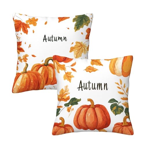 Kissenbezug 35x35 Herbst Outdoor Kissen Wetterfest Kissenbezug Wasserdichter Dekorative Kissenbezüge Kürbis Sofakissen Dekokissen Dekorativ Kissenhülle für Garten Balkon Deko Geschenke für Frauen K-71 von Kinntn