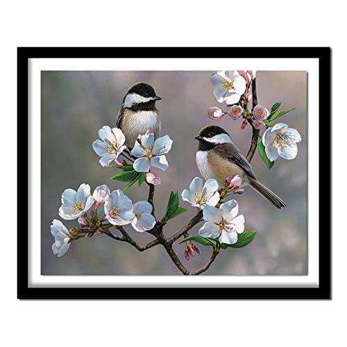 5D Diamond Painting Zwei Vögel im Baum Diamant Painting Kinder,DIY Voll Set Cross Stickerei Malerei,Diamond Painting Erwachsene Bilder Kits,Home Wanddekoration Malerei Kunsthandwerk Geschenk 30x40cm von Kinooge