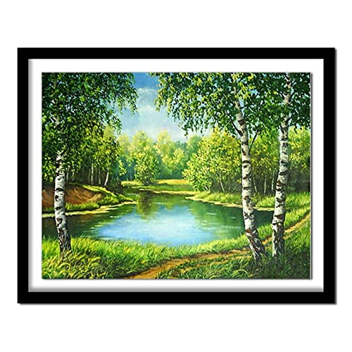 Diamond Painting, 5D Diamant Painting Natur, Diamant Bilder Malerei Kinder Kreuzstich Kits, groß Daiments Painting mit Voll Zubehör für Wohnzimmer Schlafzimmer Büro Wand 40x50cm/16x20in von Kinooge