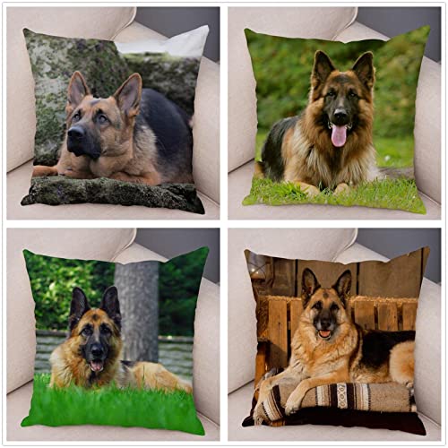 Kissenbezug 40x40cm 4er Set Deutscher Schäferhund Quadratische Kissen Kissenhülle Doppelseitig Dekokissen Dekorative Sofakissen mit unsichtbarem Reißverschluss Kissenbezüge Decor für Sofa Wohnzimmer von Kinooge