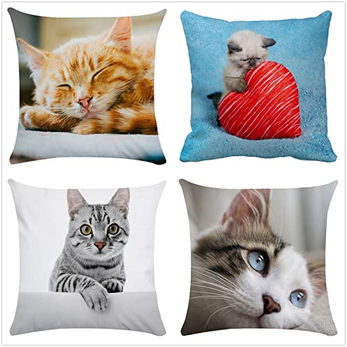 Kissenbezug 40x40cm Süße Katze 4er Set Dekokissen Kissenbezüge Dekoration QuadratischeSanft Doppelseitig Outdoor Kissenbezüge Dekokissen für Schlafzimmer, Sofa, Stuhl, Bett, Garten Dekor Geschenk von Kinooge