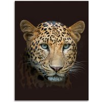 Flanell Wohndecke Leopard von Kinzler