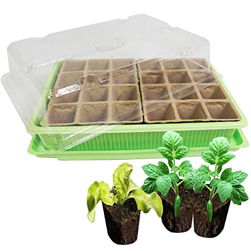 Kinzo Mini Gewächshaus - Zimmergewächshaus mit 24 Ziehtöpfen - Anzuchtschale - Anzuchttöpfe - Grüne/Transparente Kunststoffwanne mit Abdeckhaube - Wasserdicht - Indoor/Outdoor von Kinzo