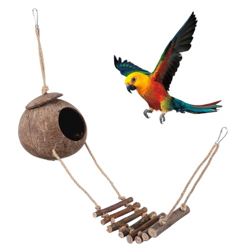 Kisangel Dekorative Reptilienversteckhöhle Aus Kokosnuss Mit Leiter Lebensechte Höhle Für Geckos Eidechsen Und Schildkröten Für Terrarien Und Käfige Kisangel Dekorative Reptilienversteckhöhle Aus Kokosnuss Mit Leiter Lebensechte Höhle Für Geckos Eidechsen Und Schildkröten Für Terrarien Und Käfige von Kisangel