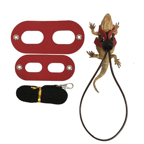 Kisangel 2 Satz Reptilien Geschirr mit Verstellbares Nylon und Kunstleder Haustierrückhaltegeschirr für Eidechsen und Reptilien Leichtes Tragbares Haustiergeschirr Flügel in Schwarz und Kisangel 2 Satz Reptilien Geschirr mit Verstellbares Nylon und Kunstleder Haustierrückhaltegeschirr für Eidechsen und Reptilien Leichtes Tragbares Haustiergeschirr Flügel in Schwarz und von Kisangel