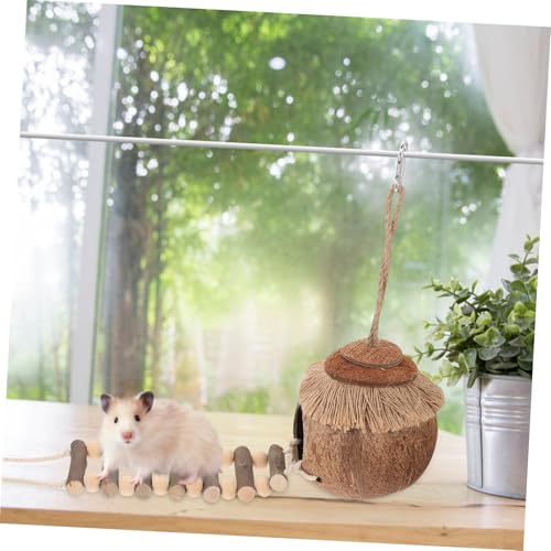 Kisangel 2 Stück Hamster Nest aus Natürlicher Kokosnussschale mit Leiter Robustes Hängeset für Kleintiere und Vögel Kratzfestes Leicht zu Reinigendes Schlaf und Versteckhaus für Käfige Kisangel 2 Stück Hamster Nest aus Natürlicher Kokosnussschale mit Leiter Robustes Hängeset für Kleintiere und Vögel Kratzfestes Leicht zu Reinigendes Schlaf und Versteckhaus für Käfige von Kisangel