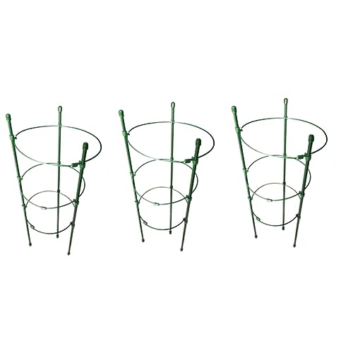 Kisangel 3 Sätze Teiliges Pflanzenstützsystem Rankhilfe Für Kletternde Pflanzen Wie Paprika Und Auberginen Rostfrei Und Wetterbeständig Für Garten Und Balkon 4 Stück * 3 Kisangel 3 Sätze Teiliges Pflanzenstützsystem Rankhilfe Für Kletternde Pflanzen Wie Paprika Und Auberginen Rostfrei Und Wetterbeständig Für Garten Und Balkon 4 Stück * 3 von Kisangel
