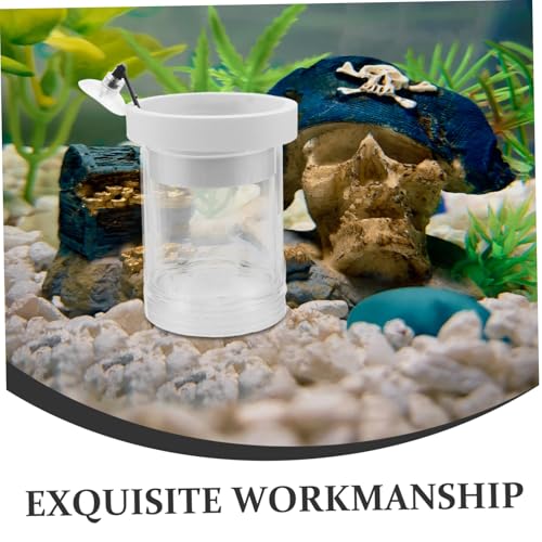 Kisangel 3 Stück Fischzuchtbox mit Mikrolöchern Schwimmende Brut Isolierbox Transparenter Inkubator mit Saugnapf für Betta Garnelen und Kleine Aquarien zur Sicheren Aufzucht von Kisangel