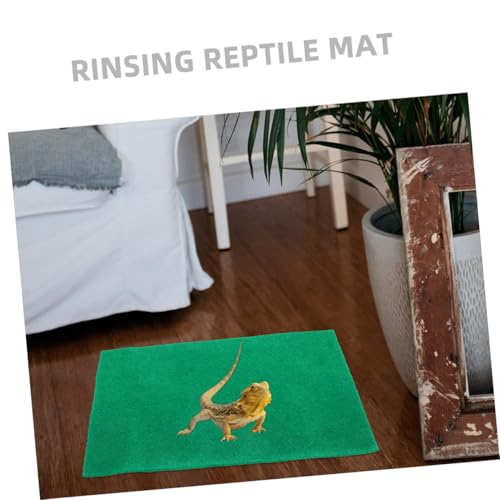Kisangel 3 Stück Polyester Reptilien Teppich Grün rutschfeste Strapazierfähige Terrarium Matte für Echsen Schlangen und Schildkröten Feuchtigkeitsresistent Pflegeleicht Langlebig Kisangel 3 Stück Polyester Reptilien Teppich Grün rutschfeste Strapazierfähige Terrarium Matte für Echsen Schlangen und Schildkröten Feuchtigkeitsresistent Pflegeleicht Langlebig von Kisangel