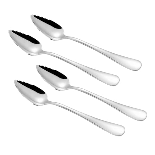 Kisangel 4 Stück Edelstahl Fruchtschaber Löffel Set Teilig mit Gezahntem für Sanftes Fruchtpüree Schaben Geeignet für Apfel Babynahrung von Kisangel