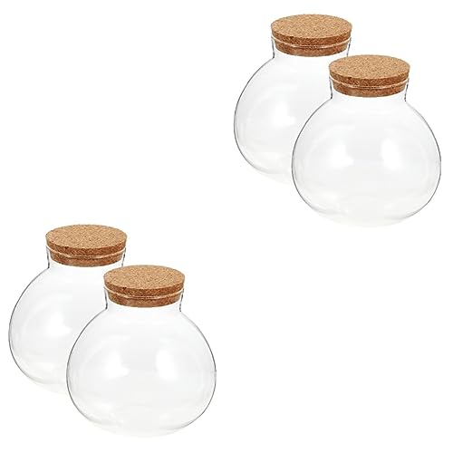 Kisangel 4 Stück Ökologische Mikrolandschaftsflasche Klarer Blumentopf Leere Flasche Selber Machen Schräge Kugelschale Schneekugel Zubehör Selber Machen Vorratsflasche Vase Suite Glas Groß von Kisangel