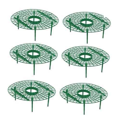 Kisangel 6 Stück Teiliges Erdbeer Rankgitter aus Robustem Material Praktischer Kletter Pergola Pflanzenstütze für Saubere Früchte Wetterfest und Einfach zu Montieren für Garten und Balkon Kisangel 6 Stück Teiliges Erdbeer Rankgitter aus Robustem Material Praktischer Kletter Pergola Pflanzenstütze für Saubere Früchte Wetterfest und Einfach zu Montieren für Garten und Balkon von Kisangel