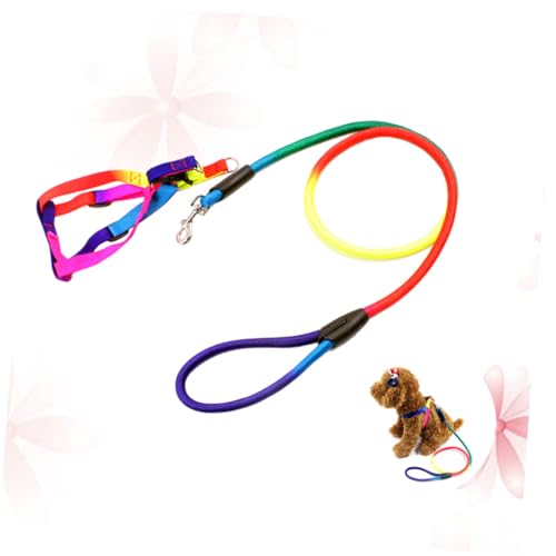 Kisangel Bunt Verstellbare Hundeleine und Geschirr aus Strapazierfähigem Nylon für Kleine Hunde Modische Welpen Brustgeschirr mit Rutschfester Zugseilführung Bequem und Langlebig für Kisangel Bunt Verstellbare Hundeleine und Geschirr aus Strapazierfähigem Nylon für Kleine Hunde Modische Welpen Brustgeschirr mit Rutschfester Zugseilführung Bequem und Langlebig für von Kisangel