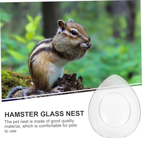 Kisangel Glas Kleintierhaus Kühlendes Nager Schlafnest für Hamster Chinchilla Igel Meerschweinchen Transparent Verschleißfest Tragbar Leicht zu Reinigen für Sommergebrauch von Kisangel