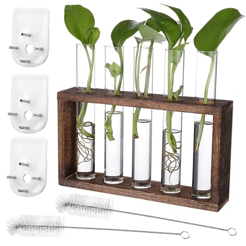 Kisangel Glas Pflanzen propagationsstation mit Testgläsern Holzständer Inklusive Reinigungsbürsten und Nageln für Wandmontage oder Tischdekoration Geeignet für Zimmerpflanzen und Terrarien von Kisangel