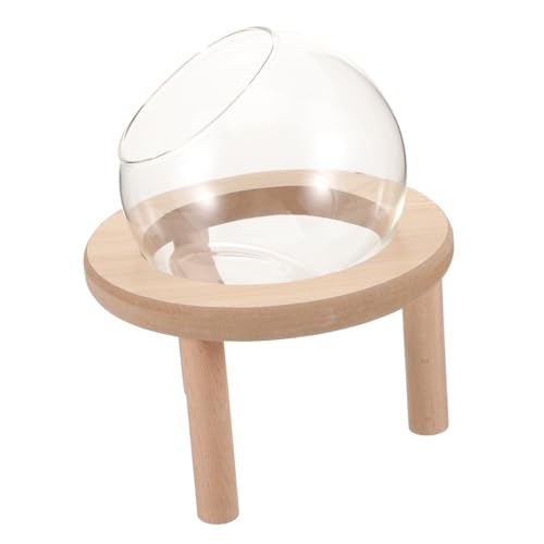 Kisangel Hamster Sandbad aus Glas mit Holzunterlage Transparente Kleine Haustier badewanne Multifunktionales Sandbad und Toilette für Zwerghamster und Kleine Nager Leicht zu Reinigen von Kisangel