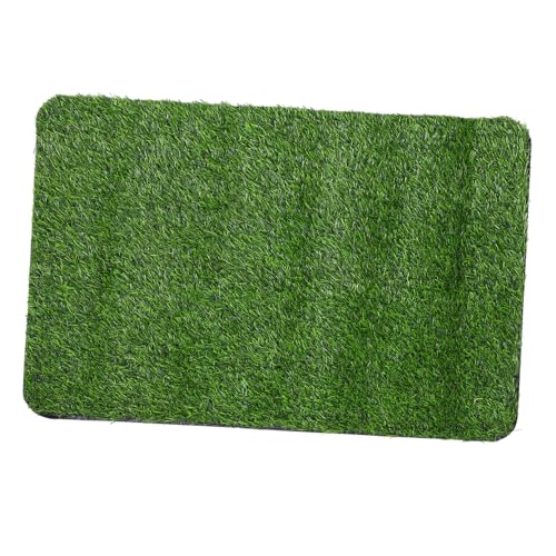 Kisangel Künstliche Gras Türmatte rutschfest mit TPR Rückseite Schmutzfangmatte für Eingangsbereich Innenbereich Schmutzabweisend Leicht zu Reinigen und Dekorativ von Kisangel