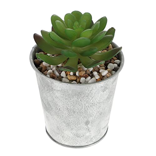 Kisangel Künstliche Mini-sukkulente Im Topf Lebendige Bonsai-Dekoration Aus Kunststoff Für Heim Und Bürogestaltung Pflegeleicht Langlebig Und Realistisch Für Kreative Wohnräume Kisangel Künstliche Mini-sukkulente Im Topf Lebendige Bonsai-Dekoration Aus Kunststoff Für Heim Und Bürogestaltung Pflegeleicht Langlebig Und Realistisch Für Kreative Wohnräume von Kisangel