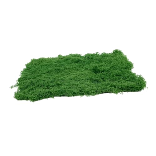 Kisangel Künstliche Moosmatte Realistisches Deko Moos für Lebensnahe Gestaltungselemente für Terrarien und Wohnaccessoires von Kisangel