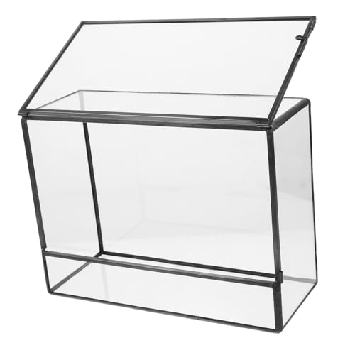 Kisangel Micro Landscape Terrarium Glasbehälter Tischdeko Ökologischer Pflanzenhalter für Moos Mini Ökosystem Wohnzimmer Dekoration von Kisangel
