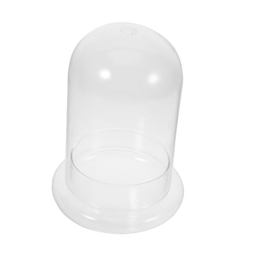 Kisangel Micro Landscape Vase Glas Terrarium mit Mittlerer Öffnung für DIY Mooslandschaft Wiederverwendbar Stilvolle Tischdeko Transparent Multifunktional für Büro und Zuhause Geeignet als Kisangel Micro Landscape Vase Glas Terrarium mit Mittlerer Öffnung für DIY Mooslandschaft Wiederverwendbar Stilvolle Tischdeko Transparent Multifunktional für Büro und Zuhause Geeignet als von Kisangel
