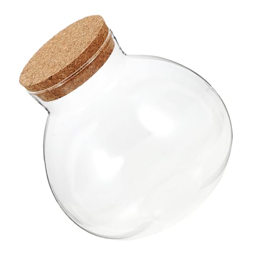 Kisangel Ökologische Mikrolandschaftsflasche Glasflasche transparentes Flaschendisplay Vermehrungstopf Ökosystemflasche Glasanlagenbehälter Moos-Landschaftsbauflasche Mikropflanzenglas Kork von Kisangel
