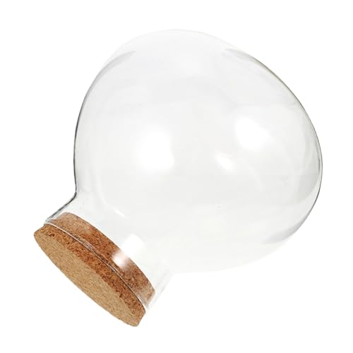 Kisangel Ökologische Mikrolandschaftsflasche Luftpflanzenglas Hochzeitsbevorzugungsglas Terrarium-displayglas Versiegelter Glasbehälter Saftiges Glas Terrarium Globe Jar Kork Transparent Kisangel Ökologische Mikrolandschaftsflasche Luftpflanzenglas Hochzeitsbevorzugungsglas Terrarium-displayglas Versiegelter Glasbehälter Saftiges Glas Terrarium Globe Jar Kork Transparent von Kisangel