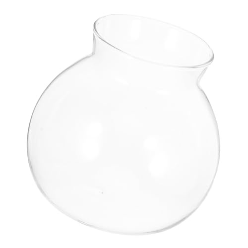 Kisangel Ökologische Mikrolandschaftsflasche Mini Empfindlich Kleines Aquarium-kit Tischfischbecken Tischaquarium Tank Anlage Pflanzen Transparent Glas Mit Hohem Borosilikatgehalt von Kisangel