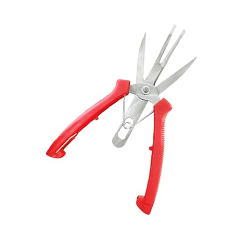 Kisangel Präzise Gartenschere aus Rostfreiem mit Ergonomischem Griff Einhändig Bedienbar Leicht und Tragbar für Obst Gemüse und Gartenarbeiten Zuhause Kisangel Präzise Gartenschere aus Rostfreiem mit Ergonomischem Griff Einhändig Bedienbar Leicht und Tragbar für Obst Gemüse und Gartenarbeiten Zuhause von Kisangel