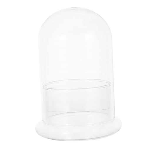 Kisangel Transparente Glas-Terrarium Vase Ø Ökosystem DIY Mikrolandschaft Terrarium Glasgefäß für Moos Pflanzen Platzsparend für Schreibtisch und Kleine Räume Einfach Hydroponisch Kisangel Transparente Glas-Terrarium Vase Ø Ökosystem DIY Mikrolandschaft Terrarium Glasgefäß für Moos Pflanzen Platzsparend für Schreibtisch und Kleine Räume Einfach Hydroponisch von Kisangel