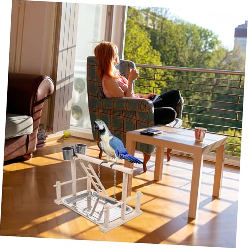 Kisangel Vogelstandplatz aus Holz mit Schaukel Kletterleiter und Glocke Langlebiges Trainingsspielzeug für Papageien und Wellensittiche zum Klettern Knabbern Käfig Kisangel Vogelstandplatz aus Holz mit Schaukel Kletterleiter und Glocke Langlebiges Trainingsspielzeug für Papageien und Wellensittiche zum Klettern Knabbern Käfig von Kisangel