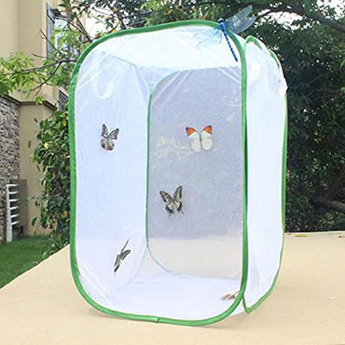 Kisbeibi Lichtdurchlässiger Insektenkäfig Netz Schmetterling Lebensraum Käfig Pflanze Gewächshaus Zelt Faltbarer SchutzkäfigSchmetterlingsgarten(Size:M,15.74x15.74x23.62 Zoll) von Kisbeibi