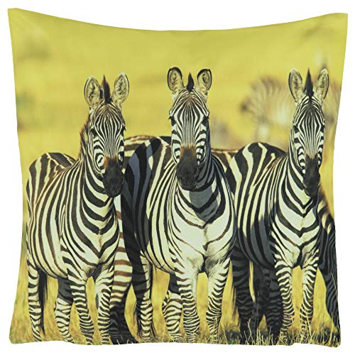 Kissenhüllen Kissenbezug 40x40 Kissen Dekokissen Kuschelkissen Tiermotive (Afrika Steppe Zebra) von Kissenhüllen