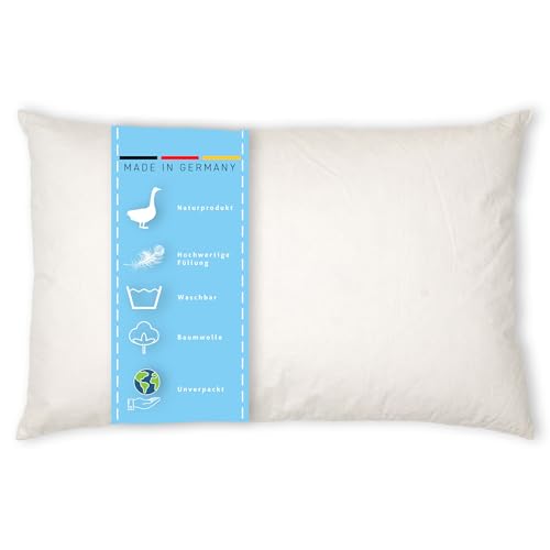 Kissenoutlet24 Federkissen 40x50cm Füllung 450g Bezug Baumwolle Farbe Creme Made in Germany Kissenoutlet24 Federkissen 40x50cm Füllung 450g Bezug Baumwolle Farbe Creme Made in Germany von Kissenoutlet24