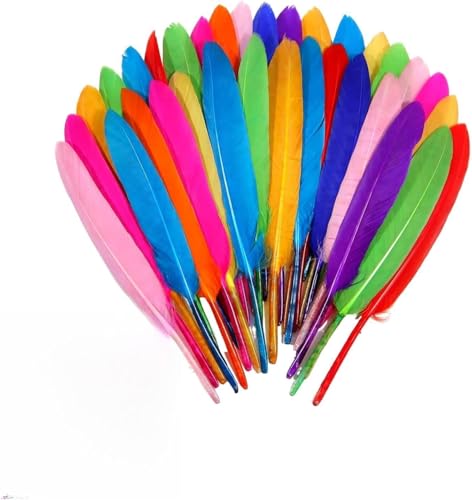 Kisstta 30 Stück Federn Zum Basteln, Bunte Federn, Bunte Bastelfedern Natürliche Feder 10-15cm läng Kopfschmuck Federblumen für DIY Handwerk Dekoration, Schulhandwerk von Kisstta