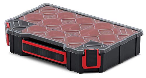 Kistenberg Sortimentskasten Kleinteilemagazin Sortierbox Sortierkasten Sortimentskoffer Kleinteile Organiser mit herausnehmbaren Einsatz - Boxen, transparenter Deckel, 284 x 195 x 60 mm von Kistenberg