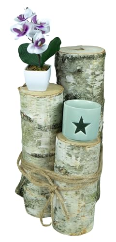 Kistenkolli Altes Land 3er Set Deko-Baumstämme aus Birke verschiedene Größen (Birke) von Kistenkolli Altes Land