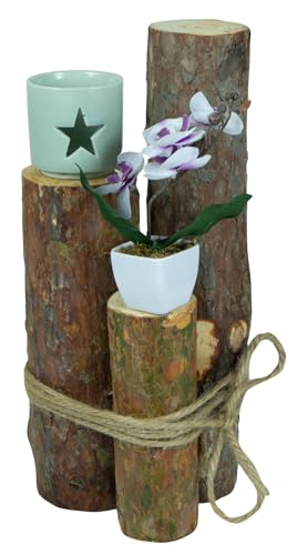 Kistenkolli Altes Land 3er Set Deko-Baumstämme aus Birke verschiedene Größen (Tanne) von Kistenkolli Altes Land