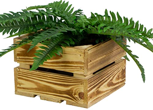 Kistenkolli Altes Land kleine geflammte/weiße/Kiste Lotta Maße ca 22x22x15cm Weinkiste Aufbewahrungskiste Holzkiste Geschenkkiste (Geflammt 1er set) von Kistenkolli Altes Land