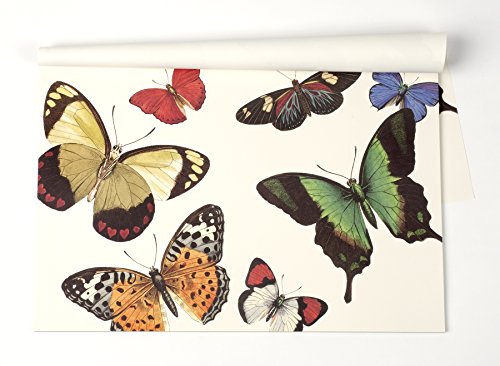 Kitchen Papers Schmetterling Papier Platzdeckchen 30 Blatt American Made 18.5"X12.5 Mehrfarbig von Hester & Cook