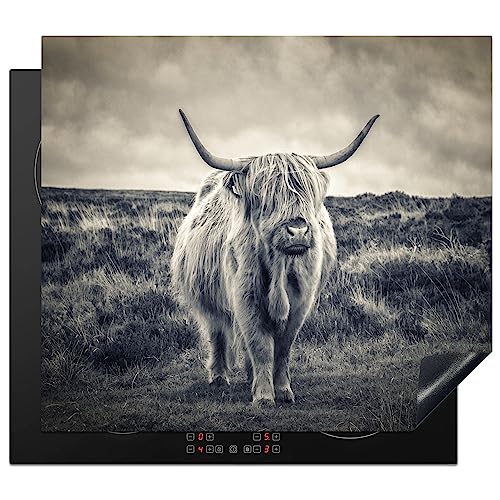 KitchenYeah© Herdabdeckplatte Einteilig Ceranfeld Abdeckplatte für Induktionsschutz Ceranfeldabdeckung Vinyl Herdabdeckplatten Schottisches Hochlandrind - Tiere - Kuh - Natur - Fell - 60x52 cm von KitchenYeah