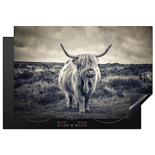 KitchenYeah© Herdabdeckplatte Einteilig Ceranfeld Abdeckplatte für Induktionsschutz Ceranfeldabdeckung Vinyl Herdabdeckplatten Schottisches Hochlandrind - Tiere - Kuh - Natur - Fell - 77x51 cm von KitchenYeah