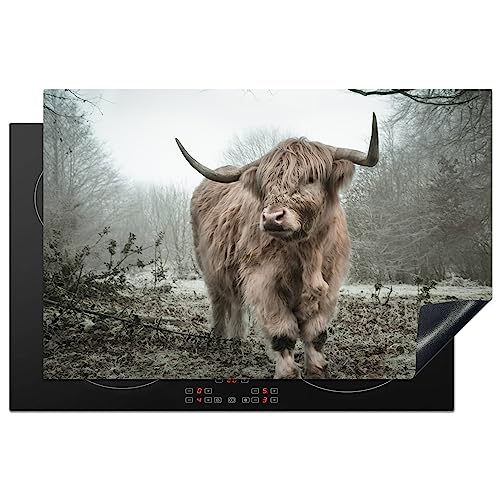 KitchenYeah© Herdabdeckplatte Einteilig Induktionsmatte Küche Abdeckung Ceranfeld Herd Abdeckplatte Deko Vinyl Matte Aufrollbar Schottisches Hochlandrind - Kuh - Herbst - Tiere - Fell - 81.6x52.7 cm von KitchenYeah